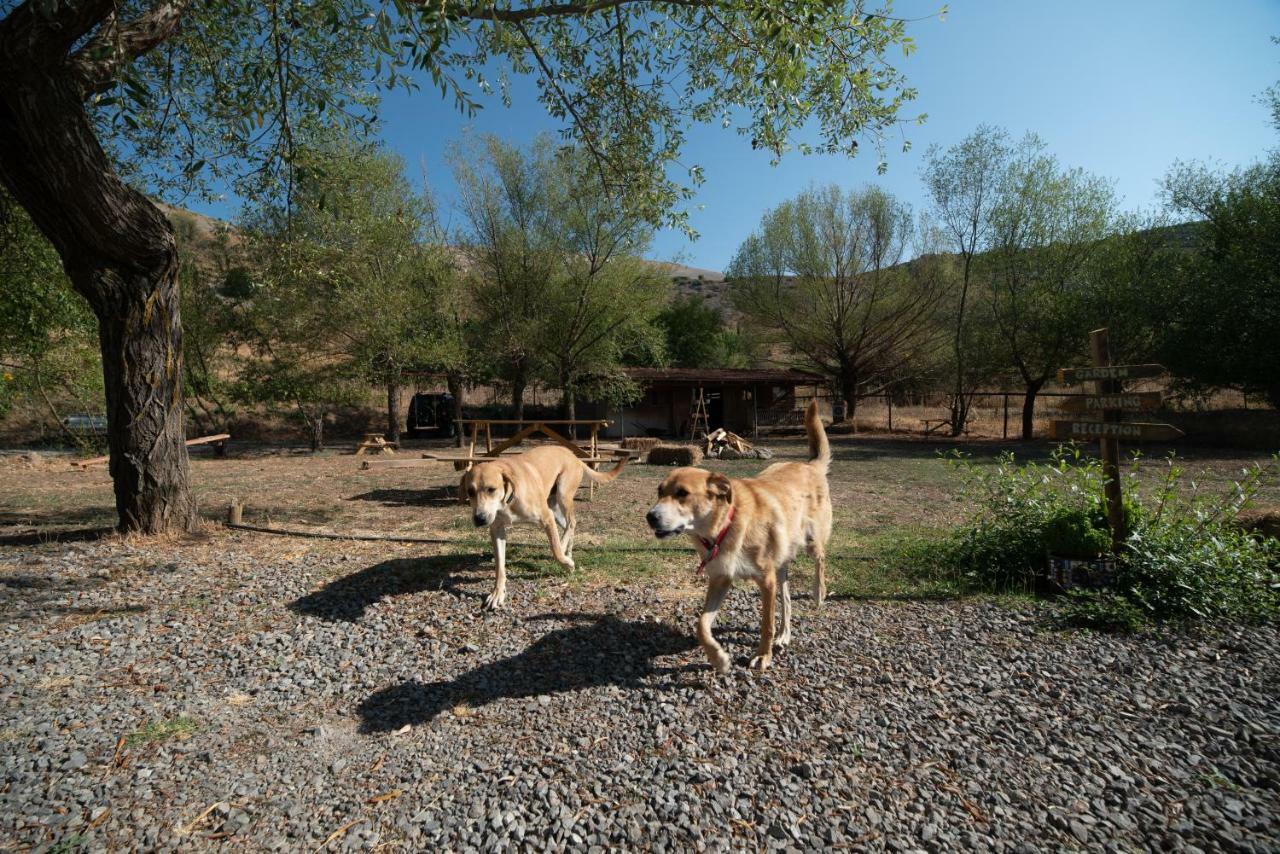 Orias Guesthouse & Farm Калаврита Экстерьер фото